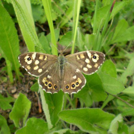 JPQTBMGAUIRNCJNKALI[1]