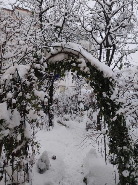 08.01.2026 - Grădina 2026