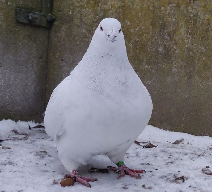 6 - c- MLODE 2025 YOUTH