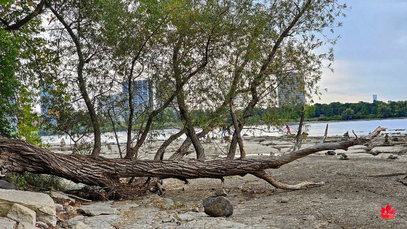 Ottawa from Gatineau 2 - OTTAWA -- CANADA