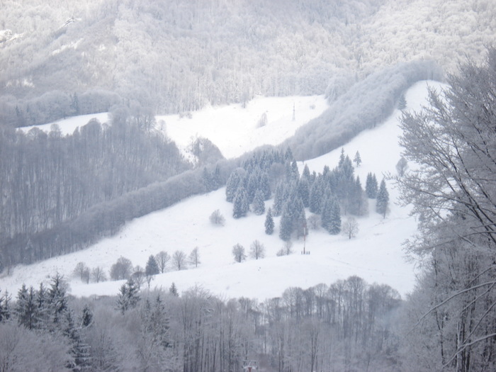 Picture 1256 - Suior- Mogosa -Maramures