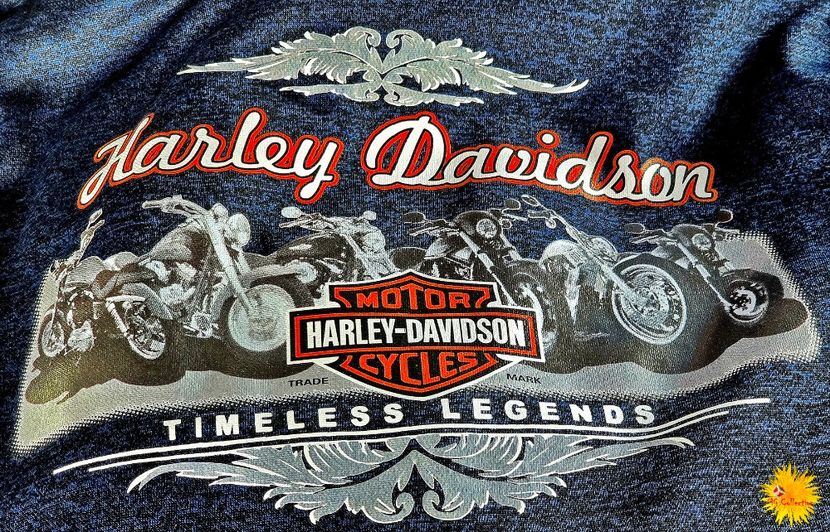 Harley Davidson jacket - D - CARS - BIKES - BOATS