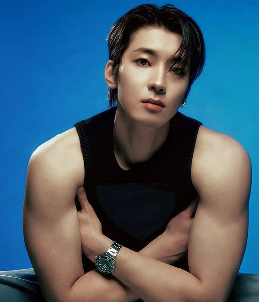 Wonwoo (Seventeen) - Hottest Male KPOP IDOLS