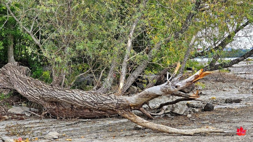 Outawais lakeshore - GATINEAU -- CANADA