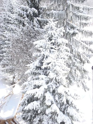 Iarna de martie - Suior- Mogosa -Maramures