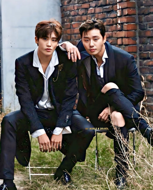 1 Park Hyung-sik x Park Seo-joon - My world K drama