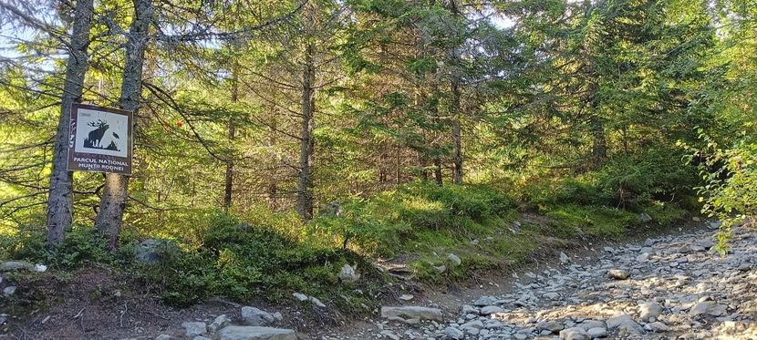  - Munții Rodnei-2025