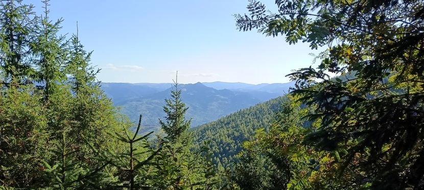  - Munții Rodnei-2025