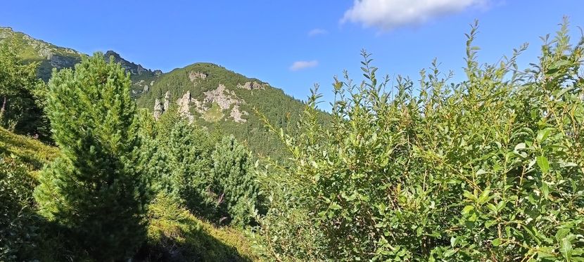  - Munții Rodnei-2025