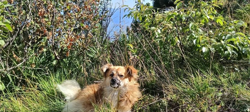  - Munții Rodnei-2025