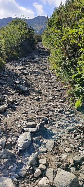  - Munții Rodnei-2025