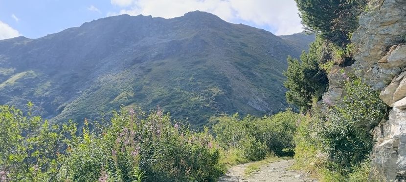  - Munții Rodnei-2025