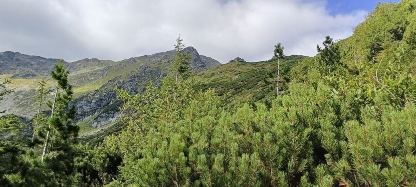  - Munții Rodnei-2025