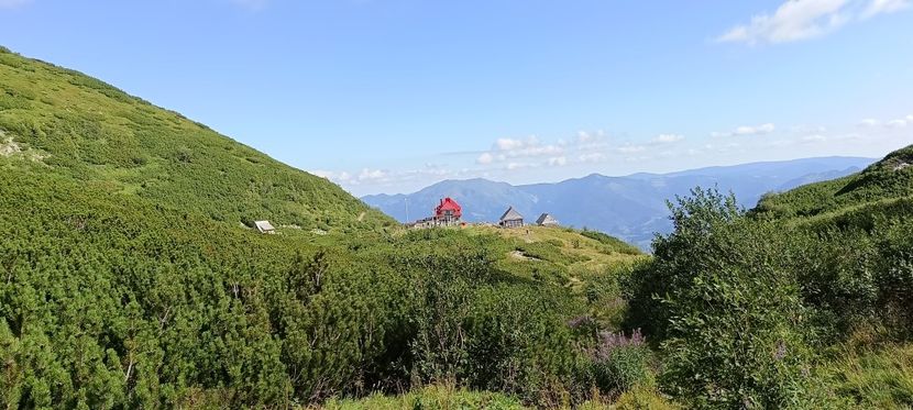  - Munții Rodnei-2025