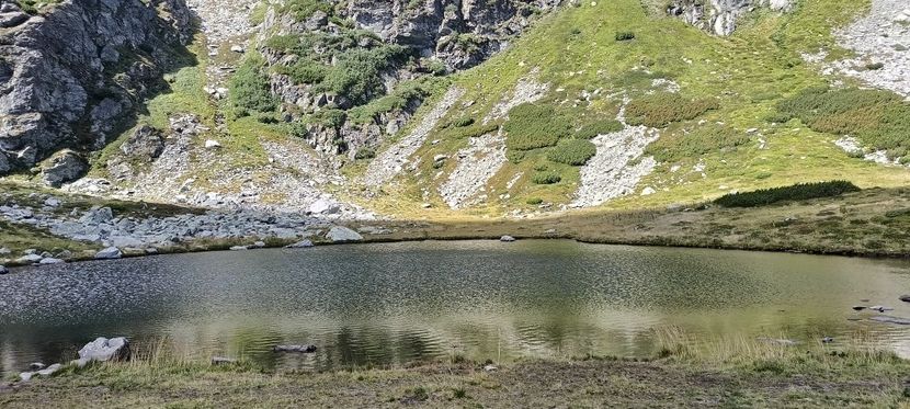  - Munții Rodnei-2025