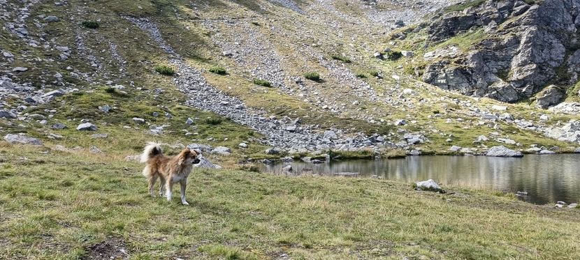  - Munții Rodnei-2025