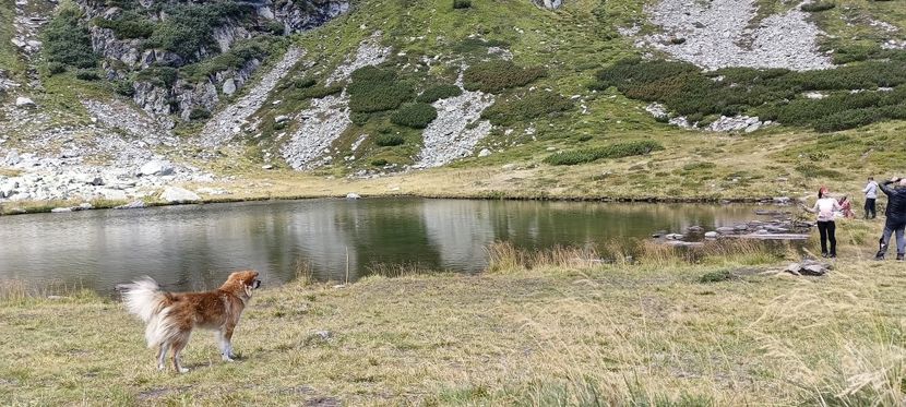  - Munții Rodnei-2025