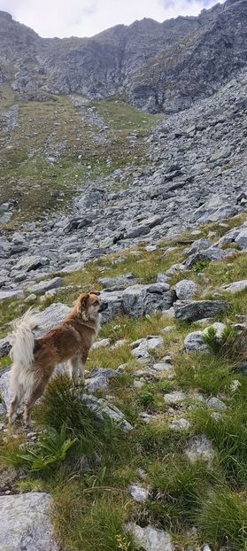  - Munții Rodnei-2025