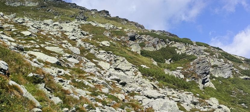  - Munții Rodnei-2025