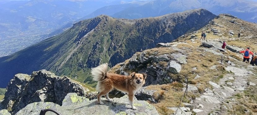  - Munții Rodnei-2025