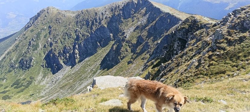  - Munții Rodnei-2025