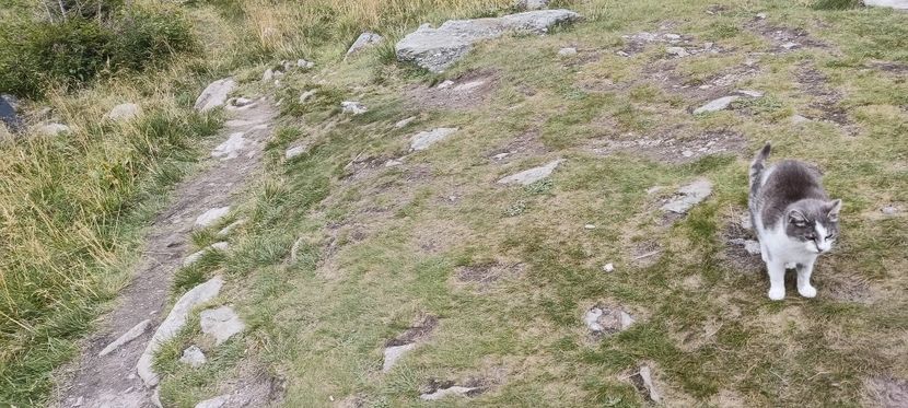  - Munții Rodnei-2025