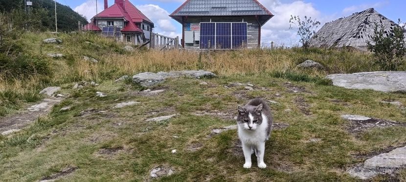  - Munții Rodnei-2025