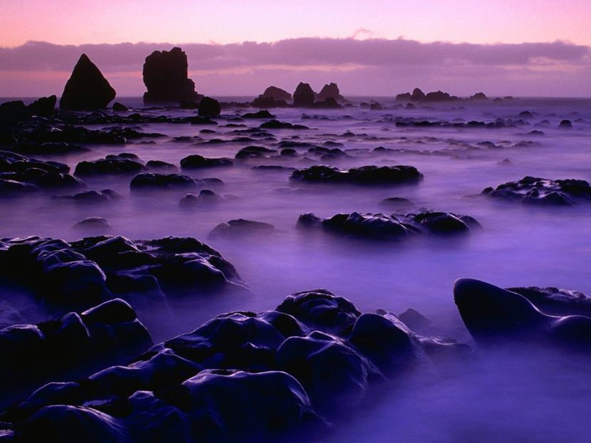 Rising Tide at Sunset, South Island, New Zealand - Nume R