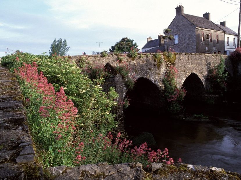 River_Boyne_County_Meath_Ireland - Nume R