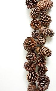 7ce1954944969d23e58ede58cae60aec - Nume Album