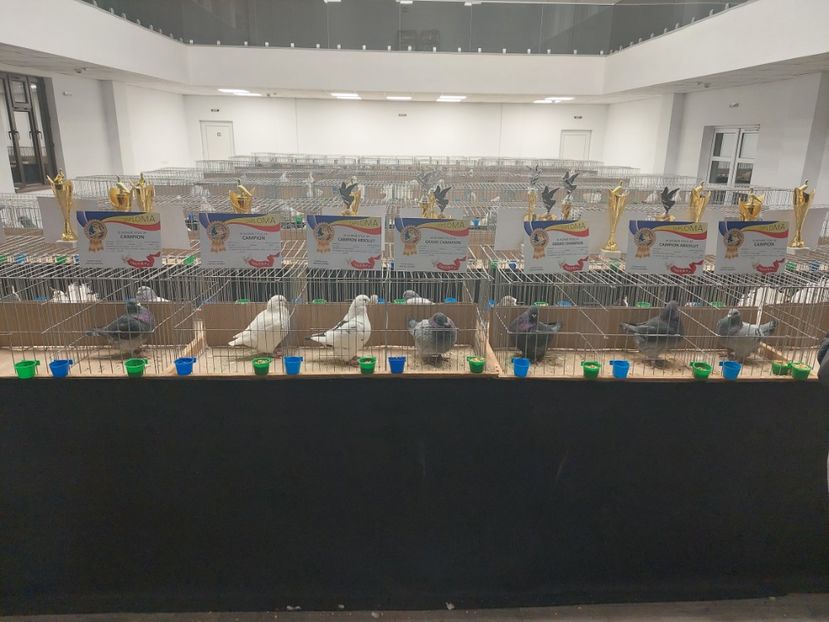 2026 - EXPOZITII AGH