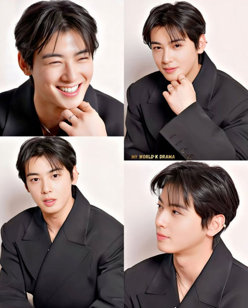 13 Cha Eun-woo - My world K drama