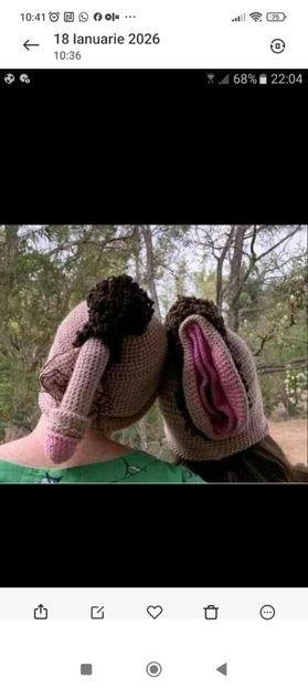 Screenshot_2026-01-18-10-41-13-728_com.miui.gallery - Fete frumoase