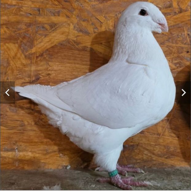 M 2025 - 3---AGH DAȚI 2019 - 2026