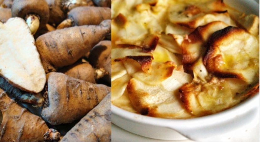  - YW - Bulbi de pământ KOREANSKA KRASULICA