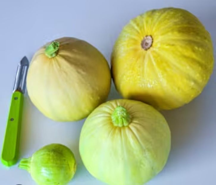  - WY Dovlecel indian mic PEPO