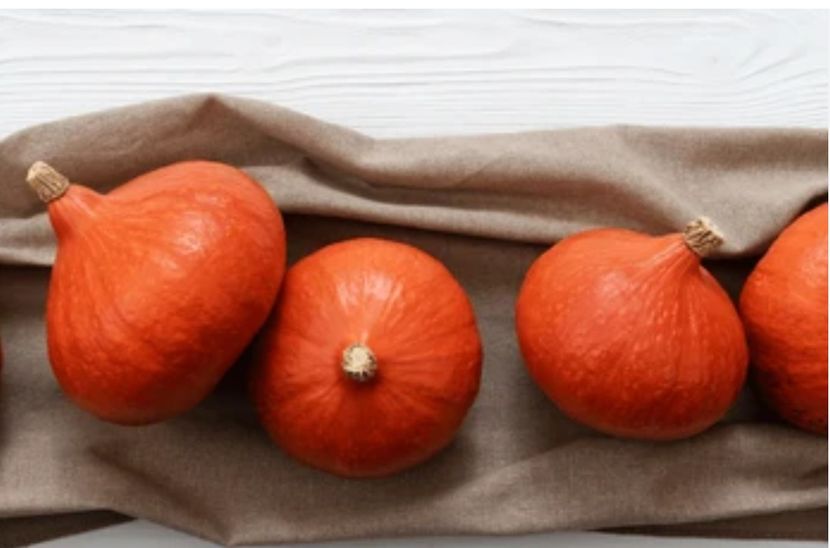  - AYW DOVLEAC POTIMARRON