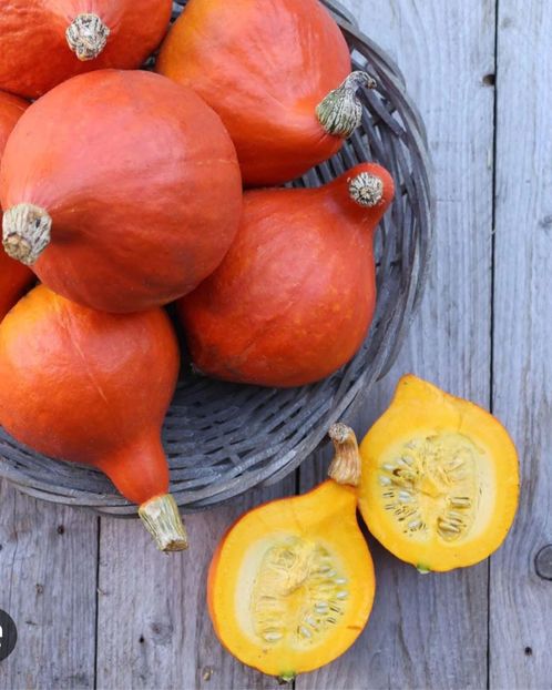  - YW DOVLECEL POTIMARON HOKAIDO