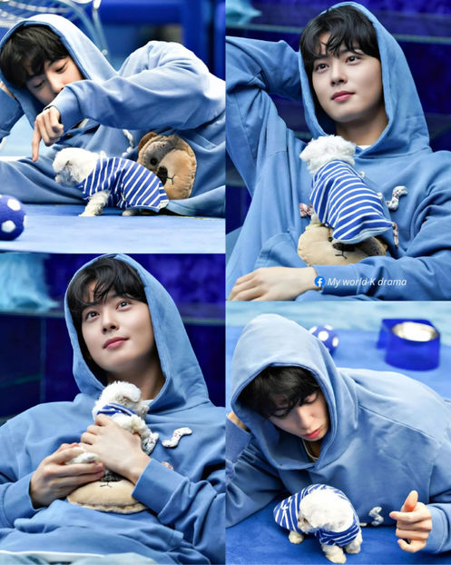 40 Cha Eun-woo - My world K drama