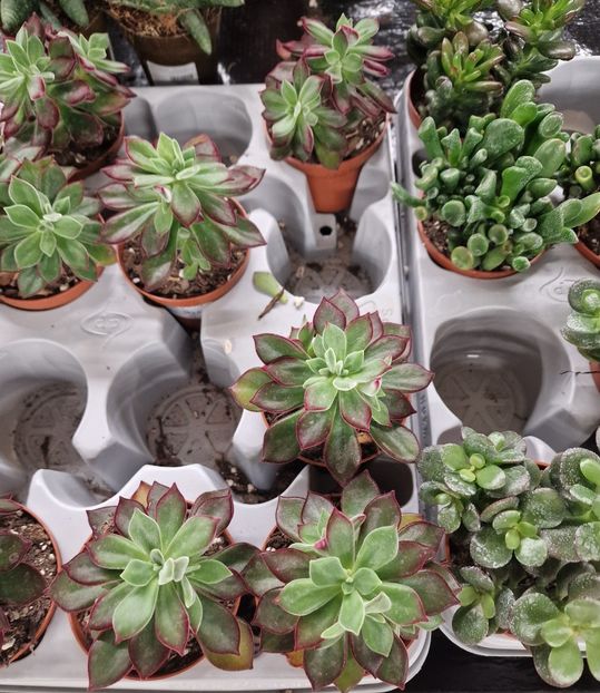 16.01.2026 - Magazin 2