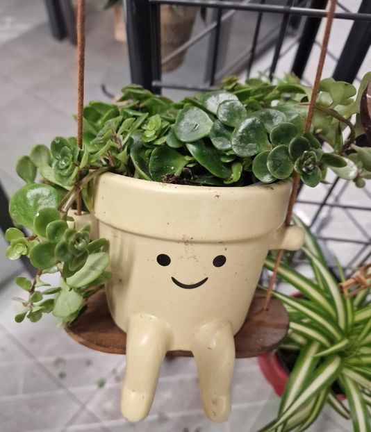 16.01.2026 - Magazin 2