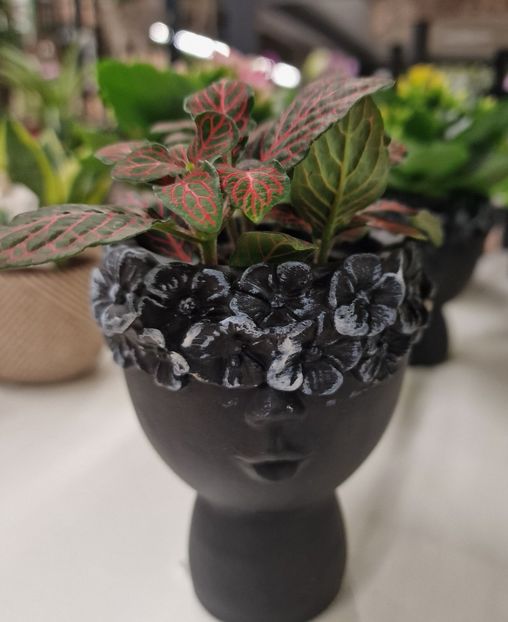 16.01.2026 - Magazin 2