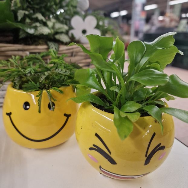 16.01.2026 - Magazin 2