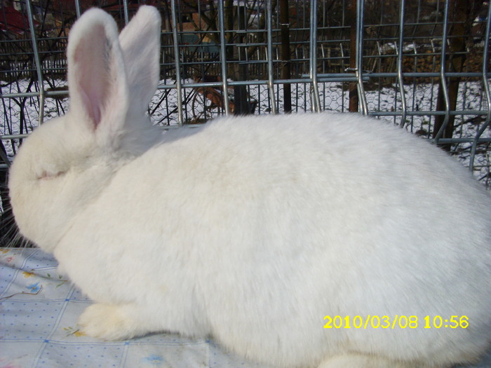 Picture 109