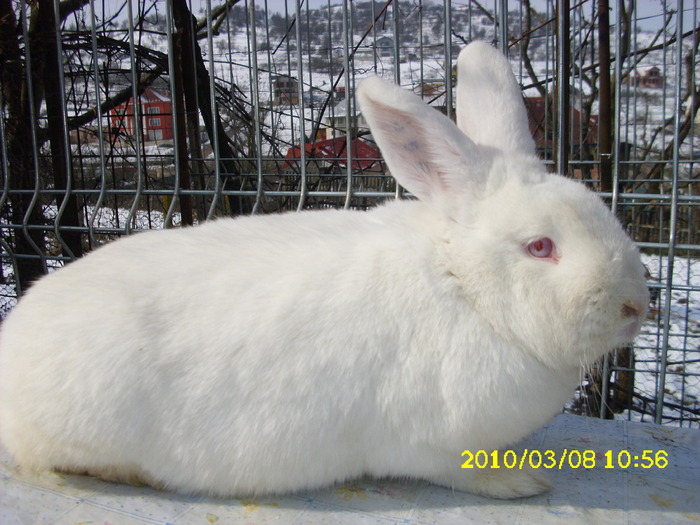 Picture 110