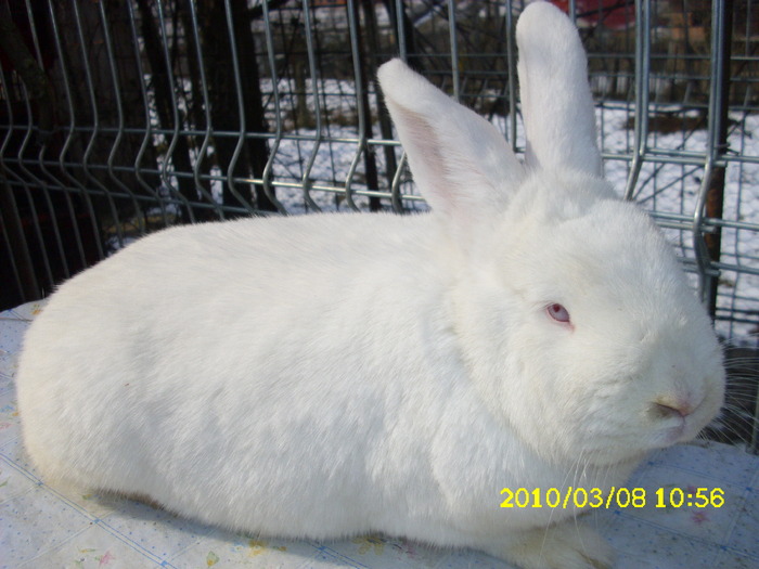 Picture 111