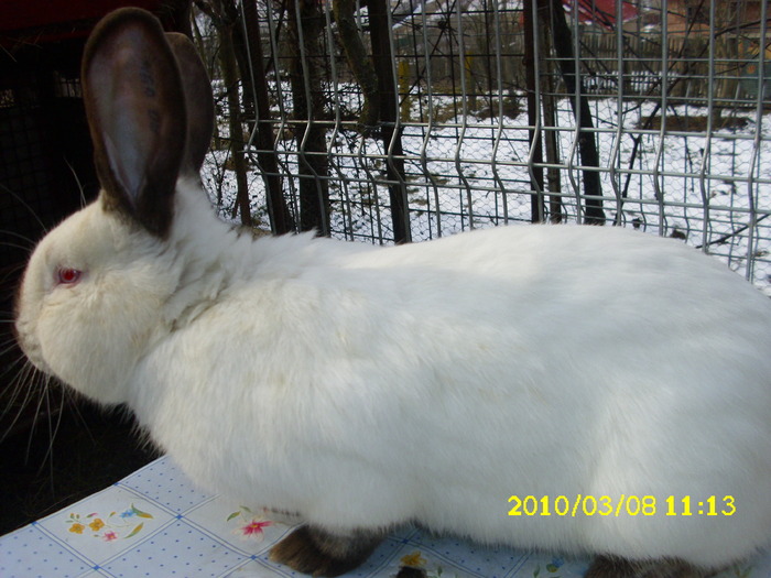 Picture 114
