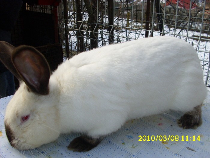 Picture 116