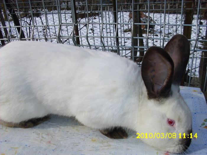Picture 118