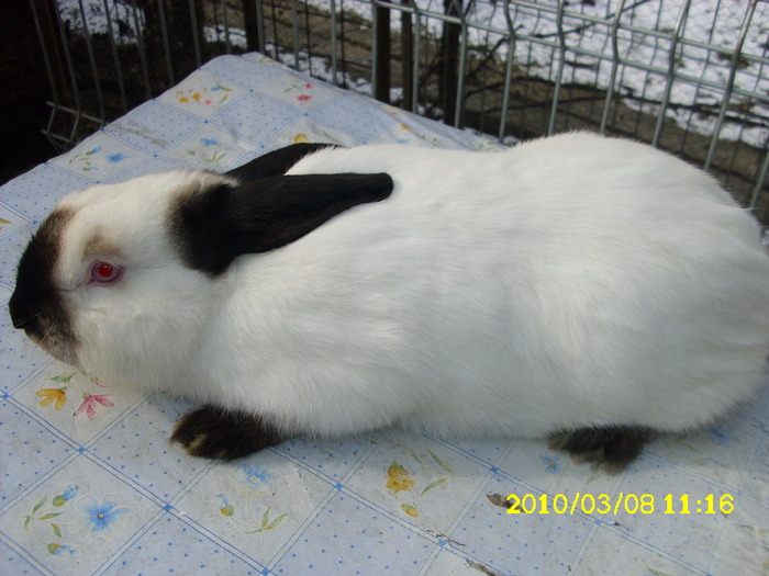 Picture 119